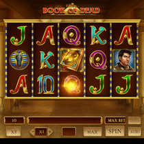 PartySpins - Book of Dead Slot Game